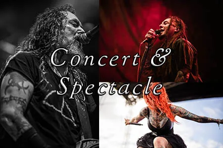 Portrait de scène d'un chanteur en plein concert, photographie de spectacle vivant - Galerie : Concert