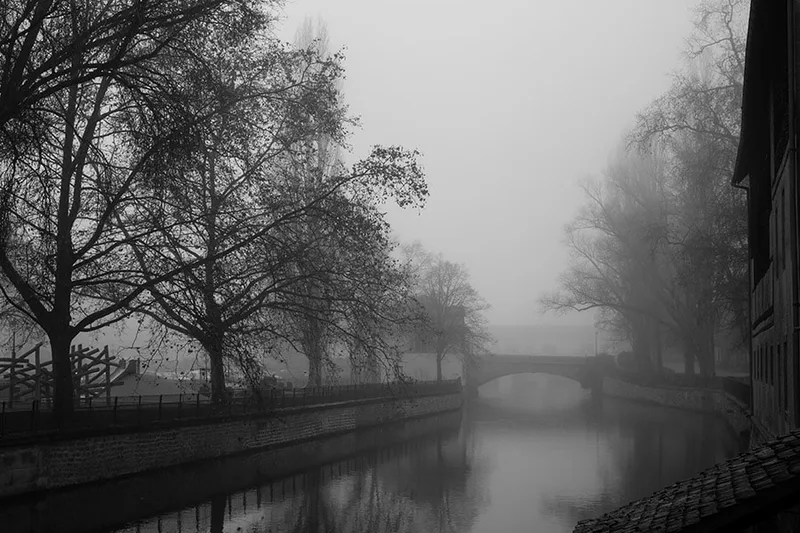 Strasbourg-brume-arbre-mystere-poesie-philippe-martz
